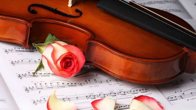 Violin rose sheet music notes free wallpaper - medium preview image