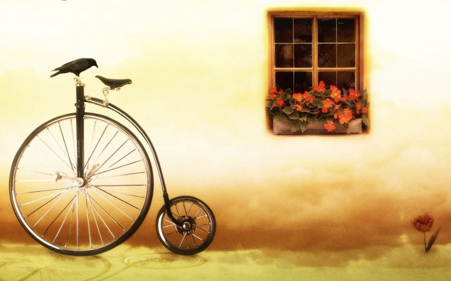 Bird bicycle window flower box free wallpaper - medium preview image
