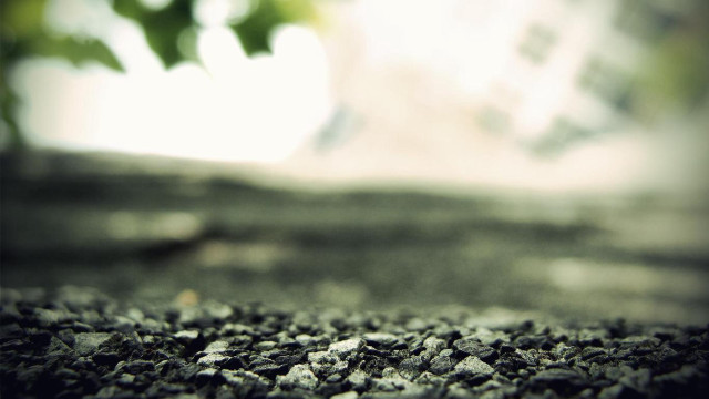 Rock surface tree background blurry free wallpaper - medium preview image