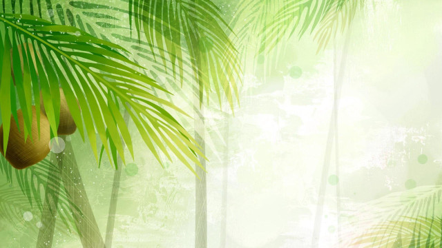 Green palm tree fruit illustration free wallpaper - medium preview image