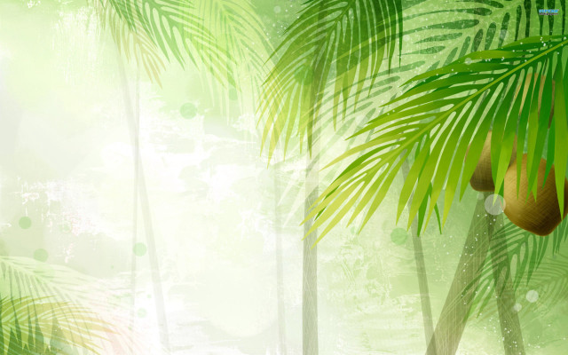 Green palm tree white background free wallpaper - medium preview image