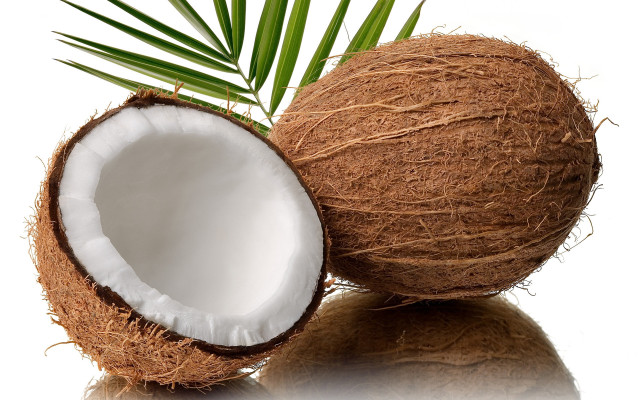 Coconut leaf white background reflection free wallpaper - medium preview image