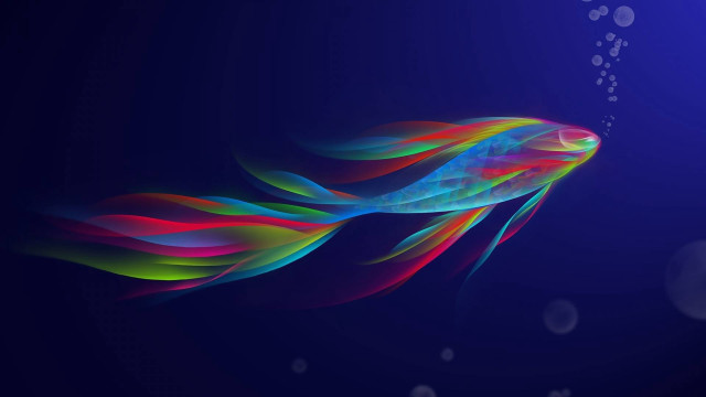 Colorful fish floating bubbles blue free wallpaper - medium preview image
