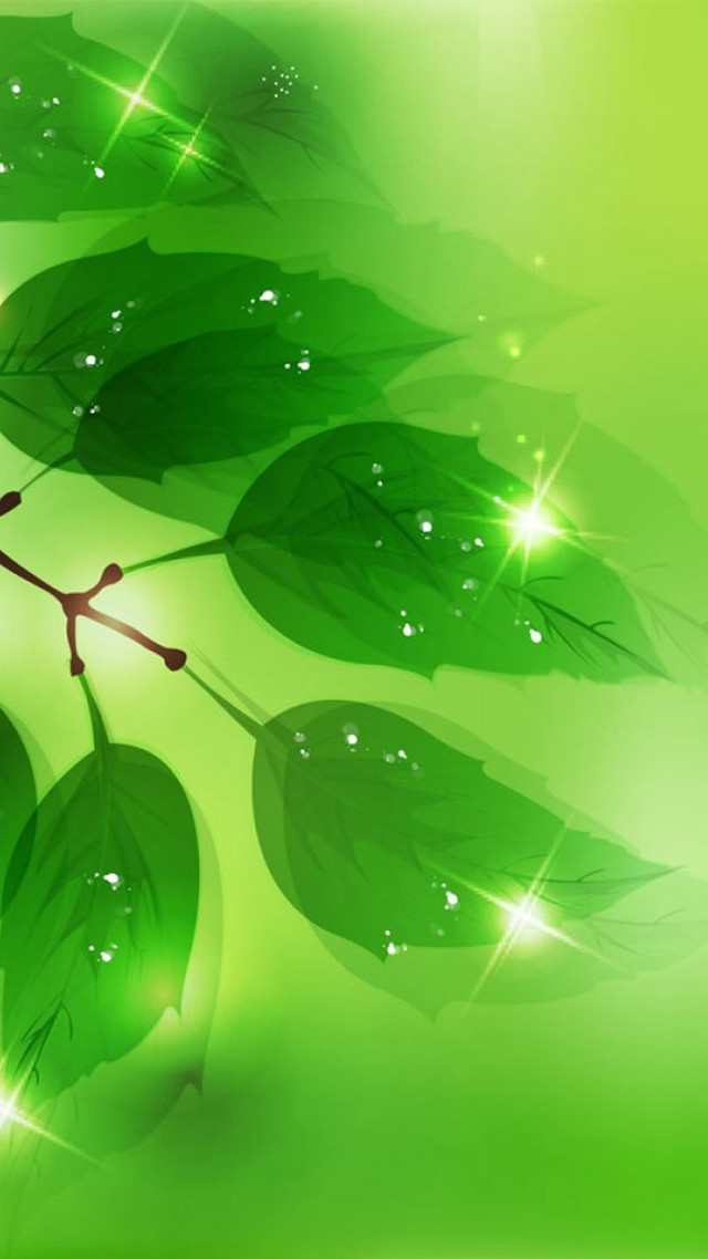 Green leaves water drops environmental free wallpaper - medium preview image