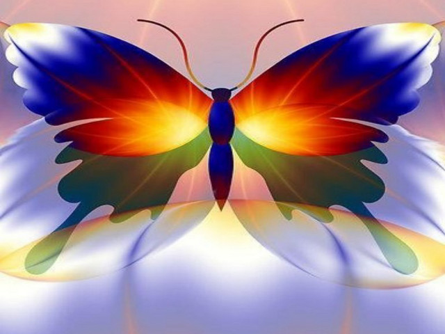 Colorful butterfly blue yellow red free wallpaper - medium preview image