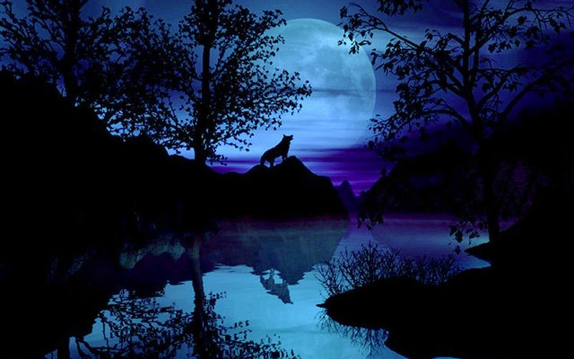 Wolf rock moonlight fullmoon lake free wallpaper - medium preview image
