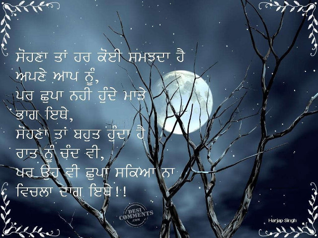 Full moon quote tree frame free wallpaper - medium preview image