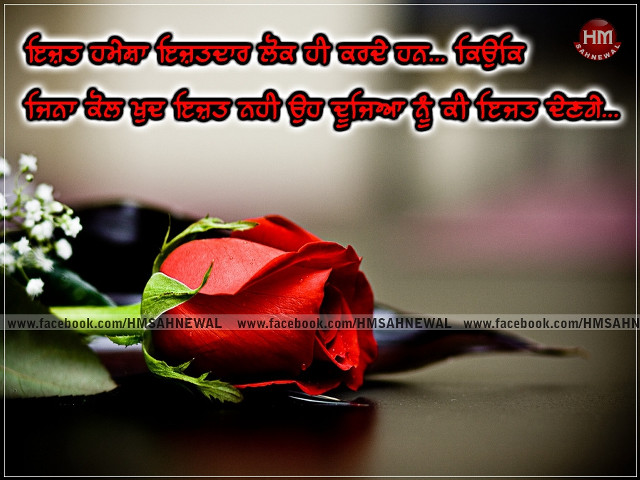 Red rose green stem table free wallpaper - medium preview image