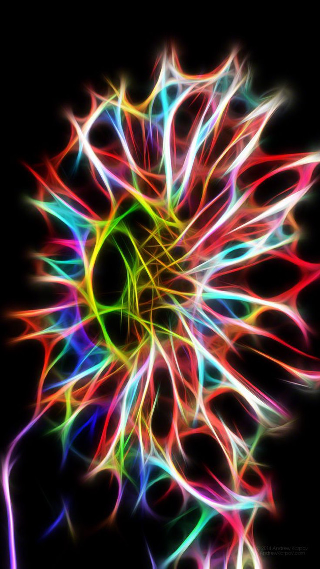 Colorful flower black background white #2 free wallpaper - medium preview image