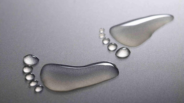 Metal surface water drops dog free wallpaper - medium preview image