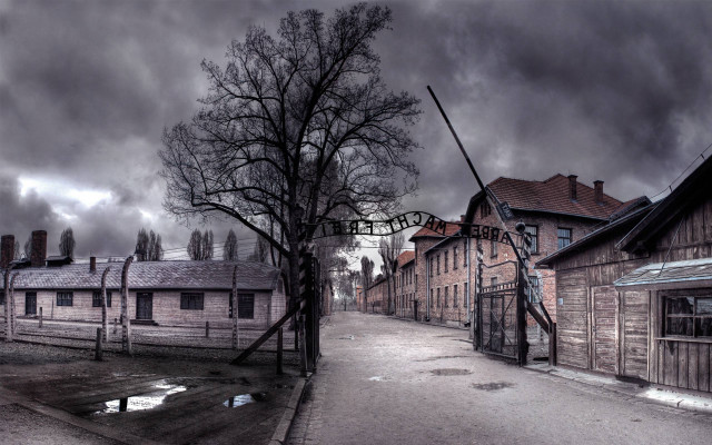 Street tree building sign old free wallpaper - medium preview image