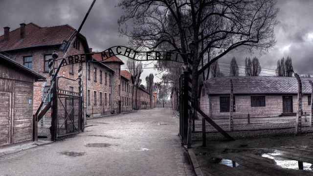 Street tree building adolfborn grim free wallpaper - medium preview image