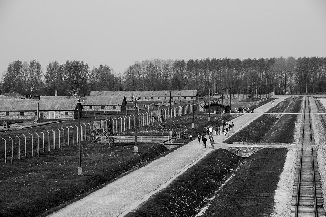 Black white people walking path free wallpaper - medium preview image