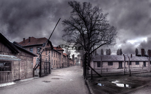 Street tree building deserted old free wallpaper - medium preview image