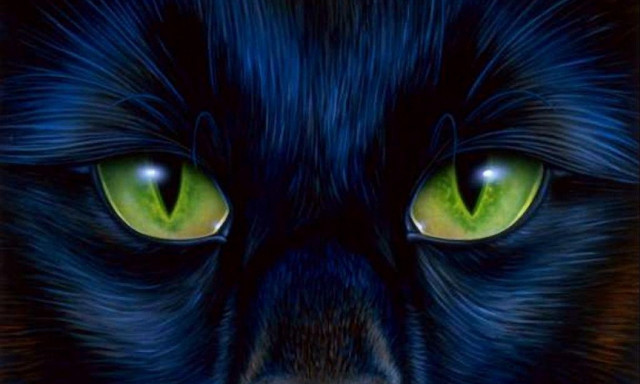 Black cat green eyes glowing free wallpaper - medium preview image