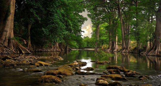 River rocks trees water cloudy #3 free wallpaper - medium preview image