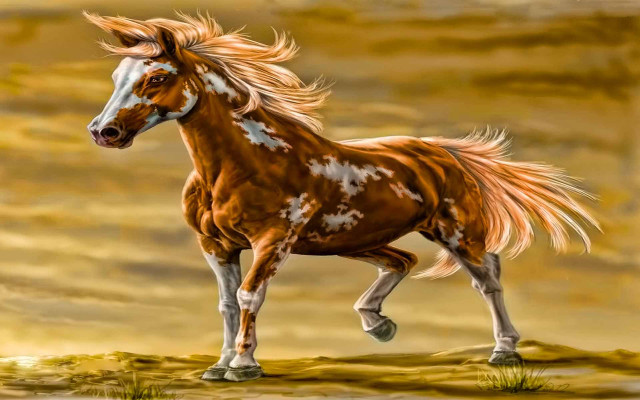 Horse long mane running grass free wallpaper - medium preview image