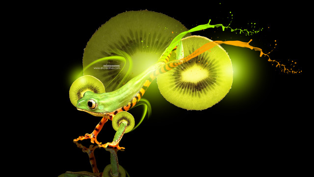 Green lizard branch kiwi mouth free wallpaper - medium preview image