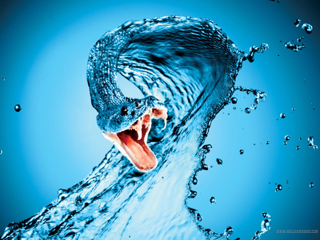 Large blue wave open mouth free wallpaper - medium preview image