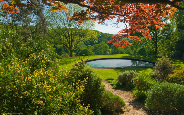 Pond trees bushes park path free wallpaper - medium preview image