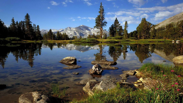 Lake rocks trees mountain blue #2 free wallpaper - medium preview image