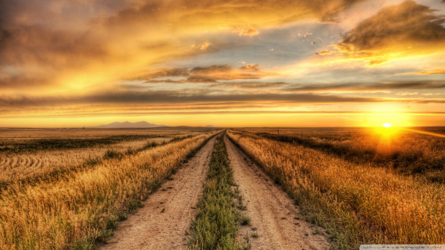 Dirt road field sunset cloudy #2 free wallpaper - medium preview image