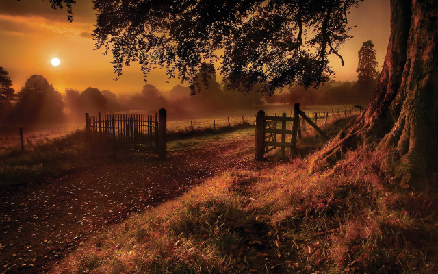 Gate tree dirt path sunset free wallpaper - medium preview image