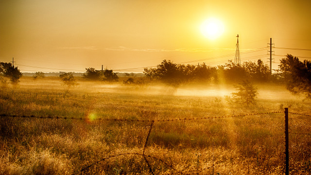 Field fence trees background sun free wallpaper - medium preview image