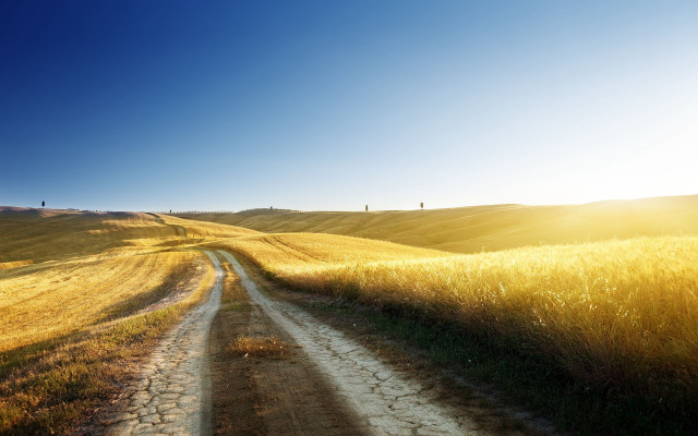 Dirt road field sun horizon free wallpaper - medium preview image