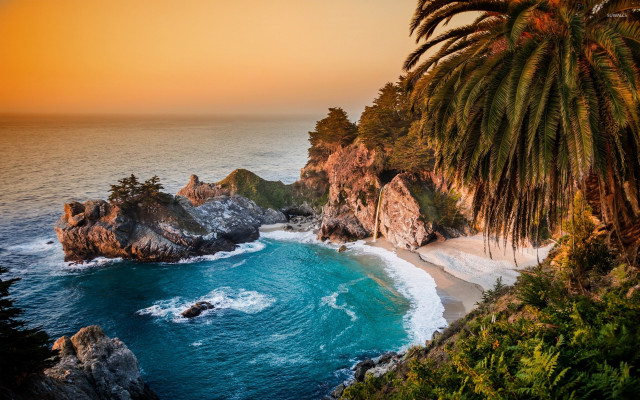 Beach palm tree water waves #2 free wallpaper - medium preview image