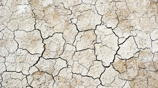 Cracked surface dirt white background free wallpaper - medium preview image