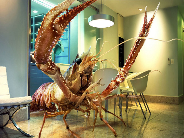 Large lobster standing table room #2 free wallpaper - medium preview image