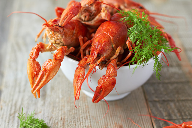 Cooked lobsters parsley bowl side free wallpaper - medium preview image