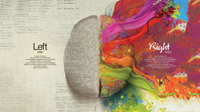 Colorful left right brain newspaper #2 free wallpaper - medium preview image