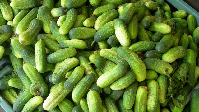 Large container filled cucumbers tabletop free wallpaper - medium preview image