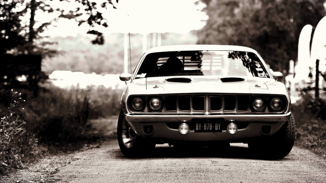 Car parked road fence trees free wallpaper - medium preview image