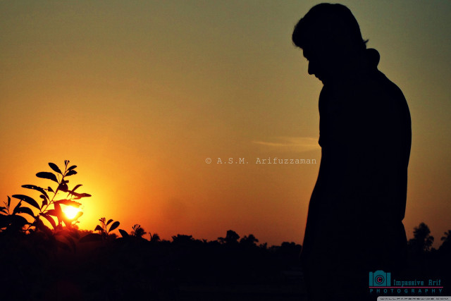Man sunset silhouette tree standing free wallpaper - medium preview image
