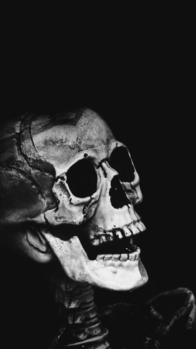 Skeleton black background white background free wallpaper - medium preview image