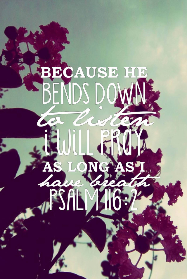 Tree bible verse sky clouds free wallpaper - medium preview image
