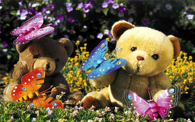 Teddy bears field flowers butterflies free wallpaper - medium preview image
