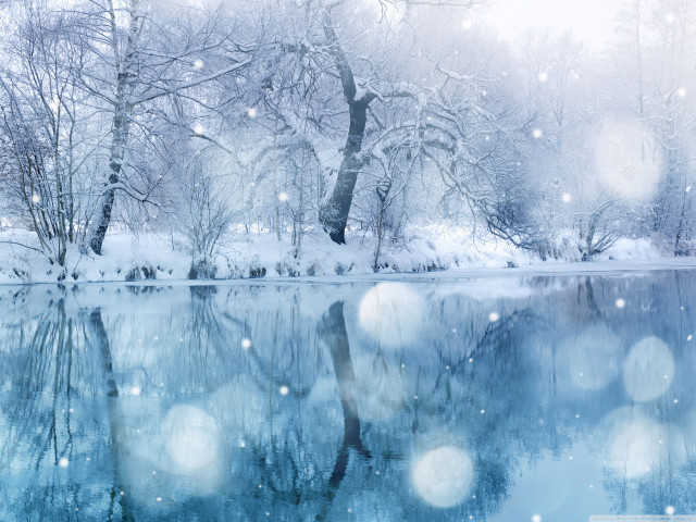 Snowy lake trees snowflakes water #4 free wallpaper - medium preview image