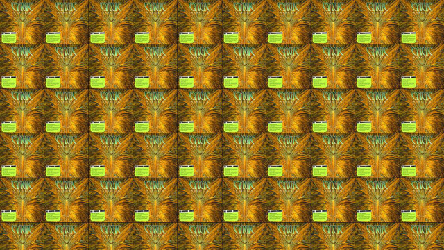 Colorful pattern green yellow squares free wallpaper - medium preview image