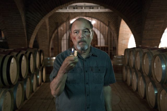 Man wine cellar holding bottle free wallpaper - medium preview image