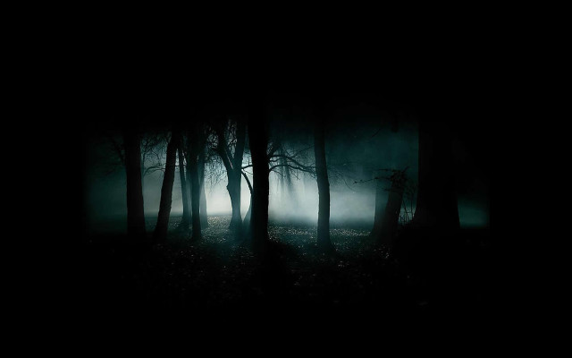 Dark forest fog trees nighttime free wallpaper - medium preview image