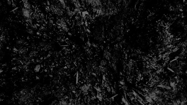 Dirt field leaves grass black #2 free wallpaper - medium preview image