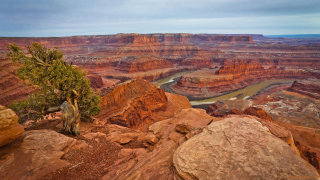 Tree rock river desert nature free wallpaper - medium preview image
