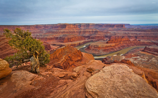 Tree rock canyon river cloudy free wallpaper - medium preview image
