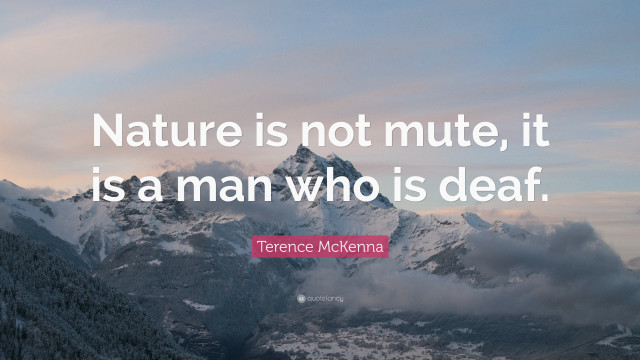 Mountain quote nature not mute free wallpaper - medium preview image