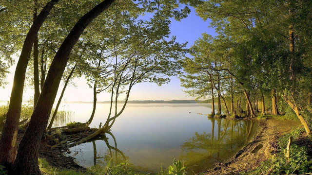Lake trees grass forest body free wallpaper - medium preview image
