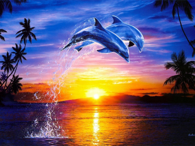 Dolphins jumping sunset palm trees free wallpaper - medium preview image